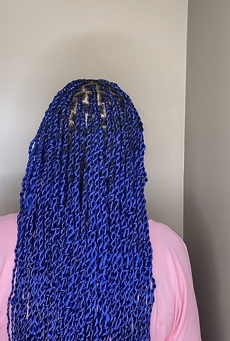 Long blue two-strand twists, back view.